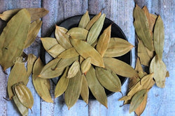 Bay Leaf